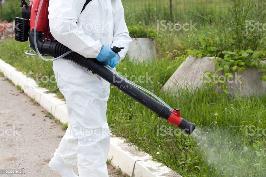 Mosquito control in yard