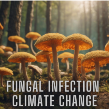 fungal infection climate change